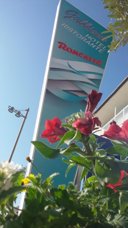 Gabbiano Hotel 시비타노바 마르셰 외부 사진